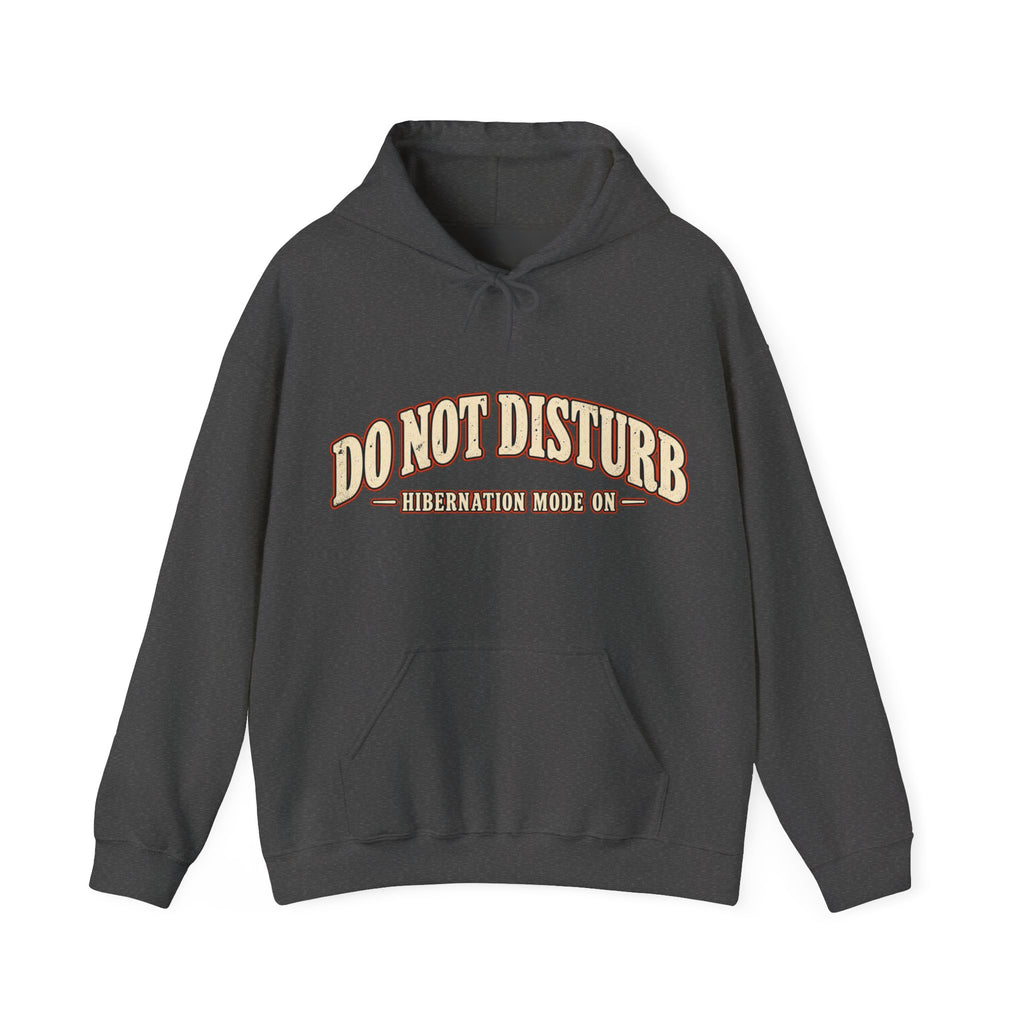Hibernation Prep bear hoodie in Dark Heather