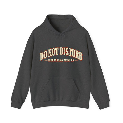 Do Not Disturb Hoodie — Hibernation Mode On Bear Winter Graphic Hoodie